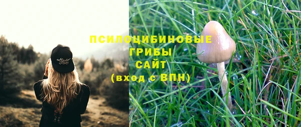 эйфоретик Белоозёрский