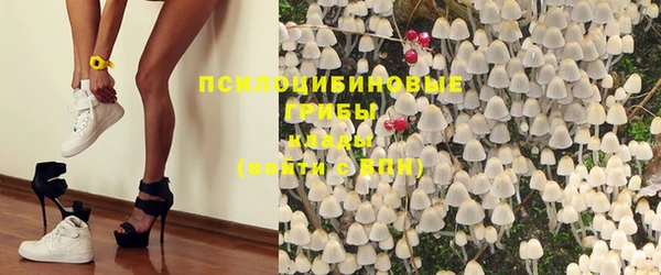 MDMA Богданович