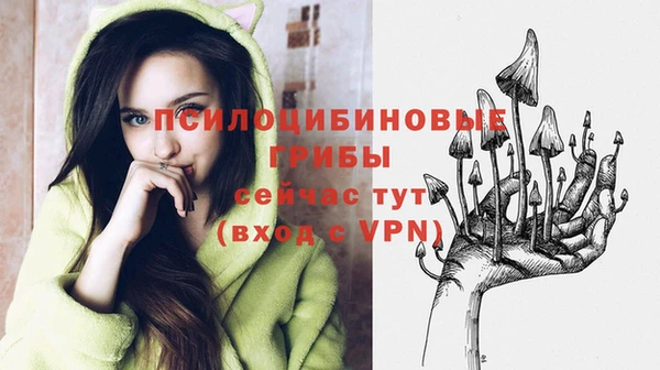 эйфоретик Белоозёрский