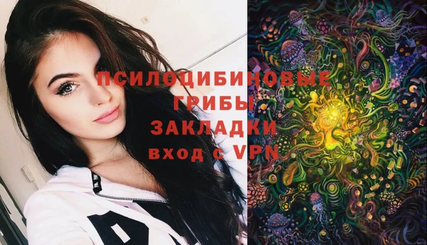 марки lsd Белокуриха