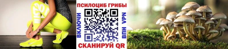Галлюциногенные грибы Psilocybe  где купить наркотик  Ижевск 